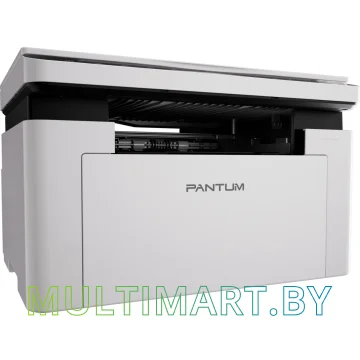 МФУ Pantum BM2300W картинка 3